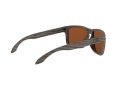 Oakley Holbrook Solbriller OO 9102 J8