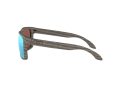 Oakley Holbrook Solbriller OO 9102 J9