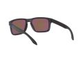 Oakley Holbrook Solbriller OO 9102 K6