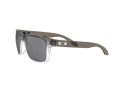 Oakley Holbrook Solbriller OO 9102 O2