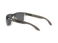 Oakley Holbrook Solbriller OO 9102 O2