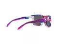 Oakley Holbrook Solbriller OO 9102 V1