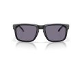 Oakley Holbrook Solbriller OO 9102 Z3