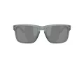 Oakley Holbrook Solbriller OO 9102 Z4