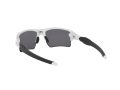 Oakley Flak 2.0 Xl Solbriller OO 9188 81