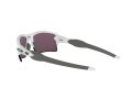 Oakley Flak 2.0 Xl Solbriller OO 9188 92