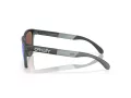 Oakley Frogskins Range Solbriller OO 9284 19