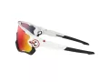 Oakley Jawbreaker Solbriller OO 9290 05