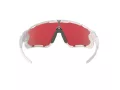 Oakley Jawbreaker Solbriller OO 9290 21