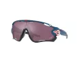 Oakley Solbriller OO 9290 64