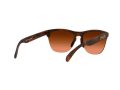 Oakley Frogskins Lite Solbriller OO 9374 50