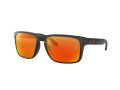 Oakley Holbrook Xl Solbriller OO 9417 04