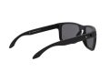 Oakley Holbrook Xl Solbriller OO 9417 05
