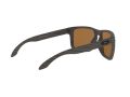 Oakley Holbrook Xl Solbriller OO 9417 06