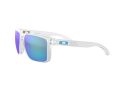Oakley Holbrook Xl Solbriller OO 9417 07