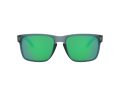 Oakley Holbrook Xl Solbriller OO 9417 14