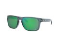 Oakley Holbrook Xl Solbriller OO 9417 14