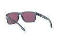 Oakley Holbrook Xl Solbriller OO 9417 14