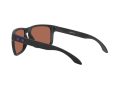 Oakley Holbrook Xl Solbriller OO 9417 20