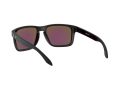 Oakley Holbrook Xl Solbriller OO 9417 21
