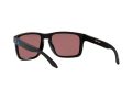 Oakley Holbrook Xl Solbriller OO 9417 25
