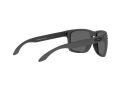 Oakley Holbrook Xl Solbriller OO 9417 30