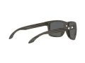 Oakley Holbrook Xl Solbriller OO 9417 34