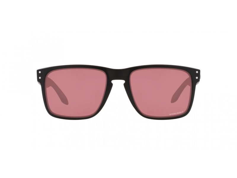 Oakley Holbrook Xl Solbriller OO 9417 35