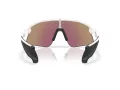 Oakley Stunt Devil Solbriller OO 9517 04