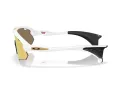 Oakley Stunt Devil A Solbriller OO 9525 08