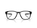 Oakley Cerebral Briller OX 8187 05