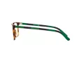 Polo Briller PH 2234 5017