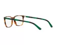Polo Briller PH 2234 5017