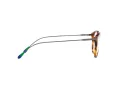 Polo Briller PH 2241 5441