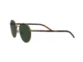 Polo Solbriller PH 3133 9324/71