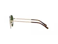 Polo Solbriller PH 3144 921171