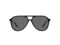 Polo Solbriller PH 4173 5001/87