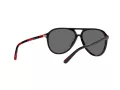 Polo Solbriller PH 4173 5001/87