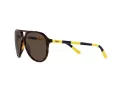 Polo Solbriller PH 4173 5003/73