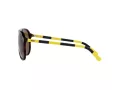 Polo Solbriller PH 4173 5003/73