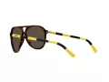 Polo Solbriller PH 4173 5003/73