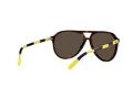 Polo Solbriller PH 4173 5003/73