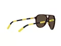 Polo Solbriller PH 4173 5003/73