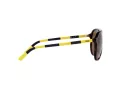 Polo Solbriller PH 4173 5003/73