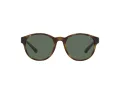 Polo Solbriller PH 4176 5003/71