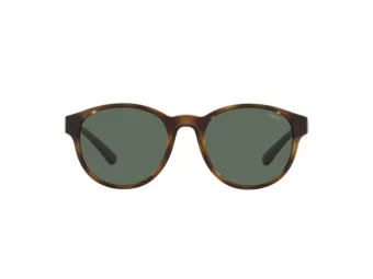 Polo Solbriller PH 4176 5003/71