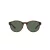 Polo Solbriller PH 4176 5003/71