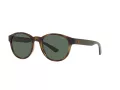 Polo Solbriller PH 4176 5003/71