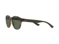 Polo Solbriller PH 4176 5003/71