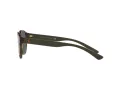Polo Solbriller PH 4176 5003/71